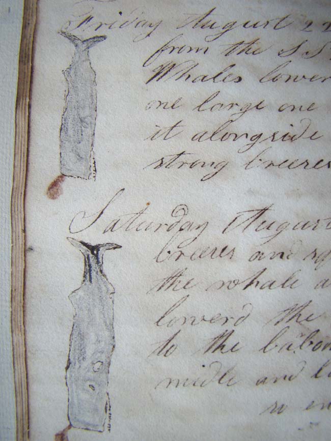 A HISTORICALLY IMPORTANT Whaling Log Book from the ship William Hamilton of New Bedford recording its' Pacific Ocean whaling expedition from 1834 to 1837.
